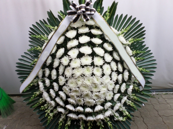 ���뱸�κ��������ɹٱ��ϲɹ�޲���