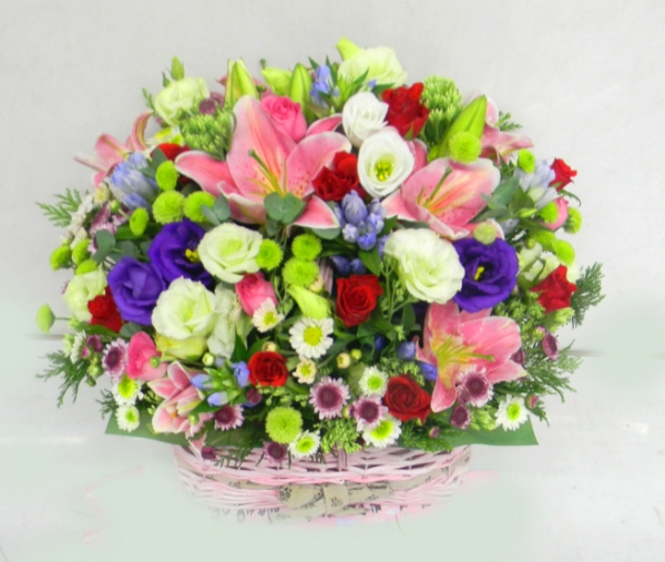 �ʵ��б����б������б����б��������ϲɹٱ��ϲɹ�޲��� (2)